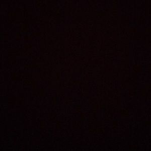 Meet your Posher, Travis